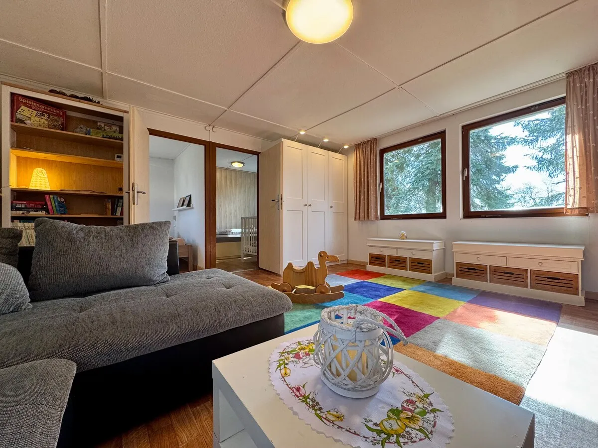 Bright living area with sofa and play rug